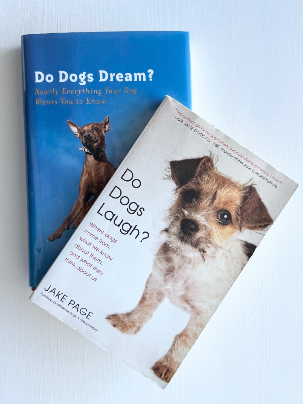 Dog Lovers Book Bundle: Do Dogs Dream? (hardcover) + Do Dogs Laugh? (paperback)